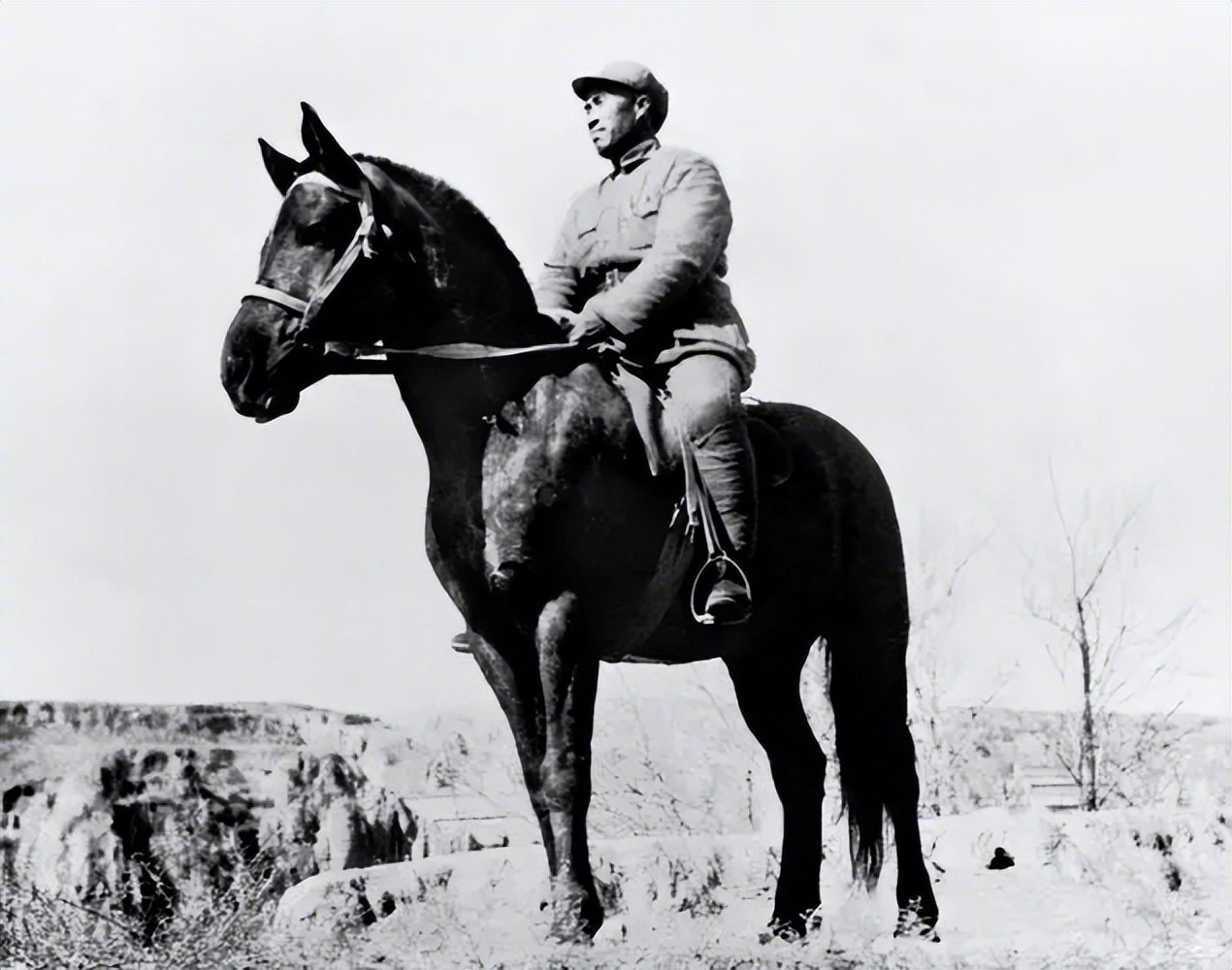 🔻在当年的陕甘宁边区，马匹与粮食、被装一样，属于按标准统一供给的“公产”。19