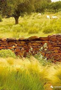 谢邀
上联：草黄秋水归心逸，
下联：芦花风软晚烟轻，
下联：枫叶霜寒客梦遥。