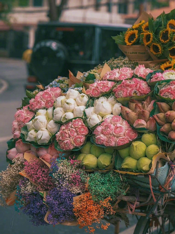 好有幸福感啊，街头流动的鲜花摊💐 