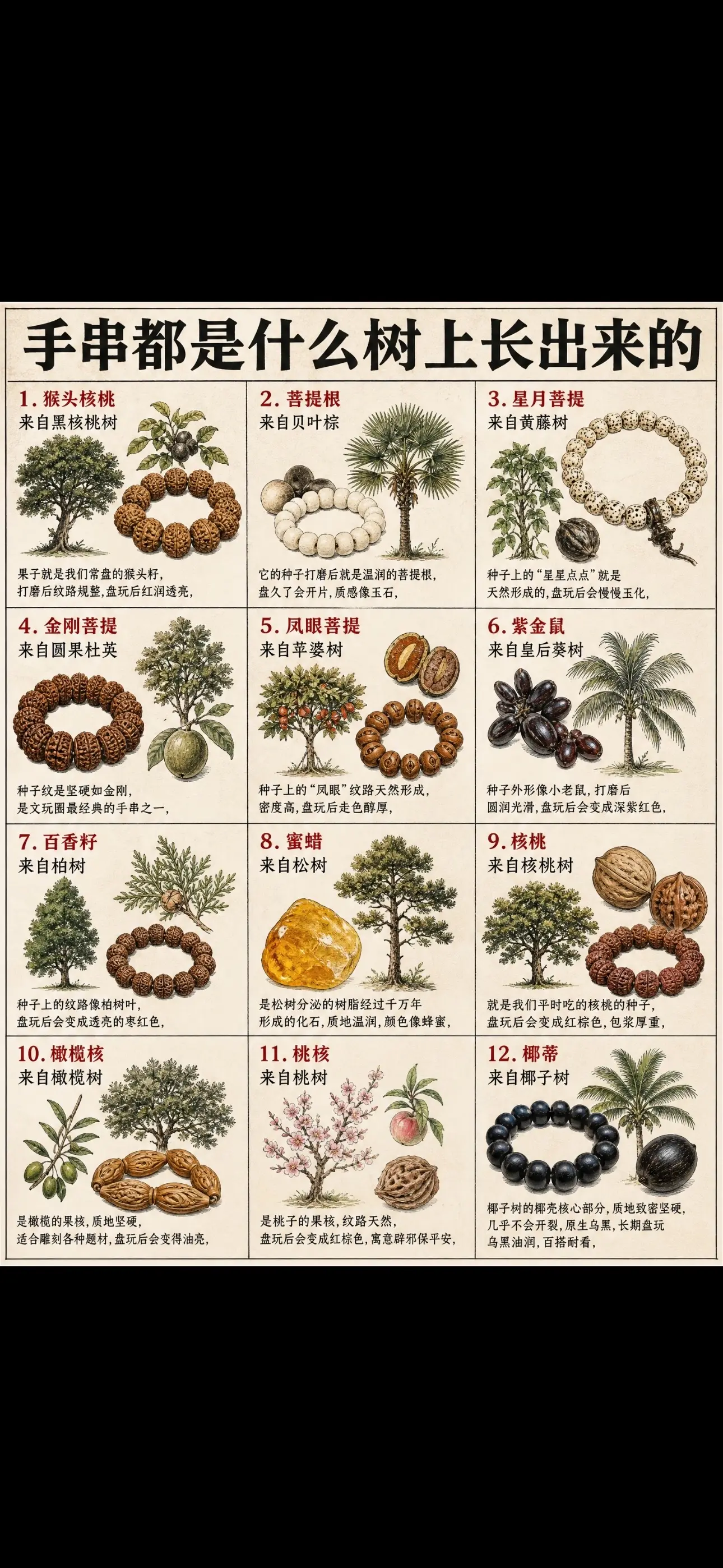 手串材料是哪里来的。手串的原材料都是哪里来的