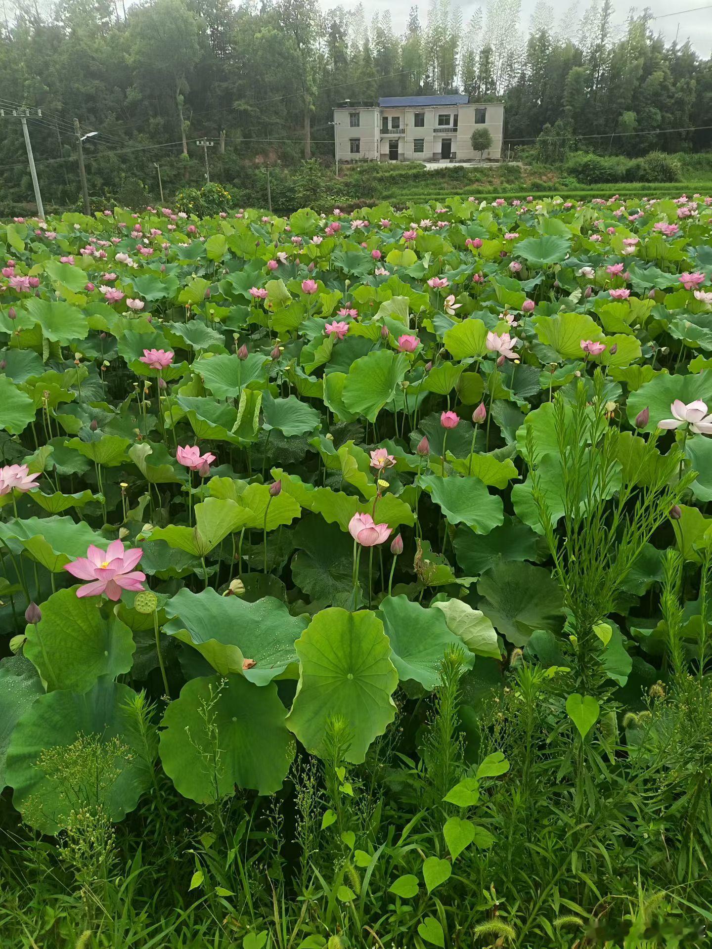 认知 近2年在南韩歪棒子。发生，医美衣疗事故并屎亡的仲果仁，就有40多个，尽管一