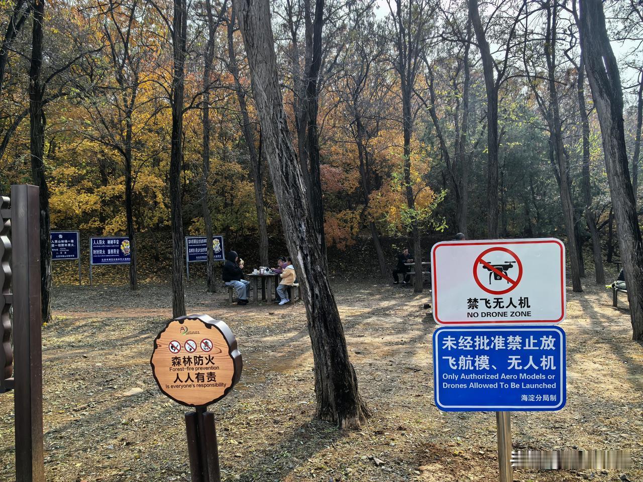 树立在西山国家森林公园内的提示牌。借助于技术手段，延伸视觉或听觉，可以让人看到或