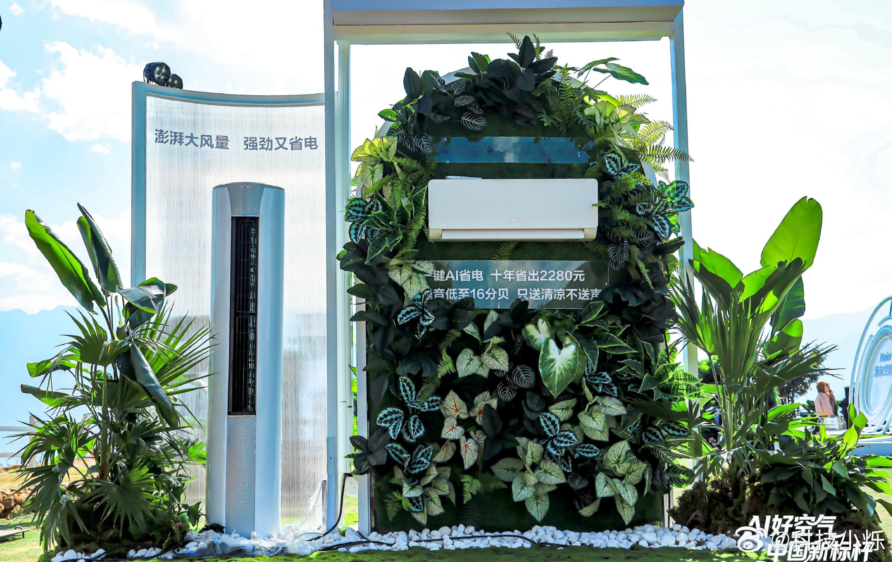 揭晓周云杰说的好空气带回家的答案 刚刚看到周云杰总发的那条要把“好空气带回家”的