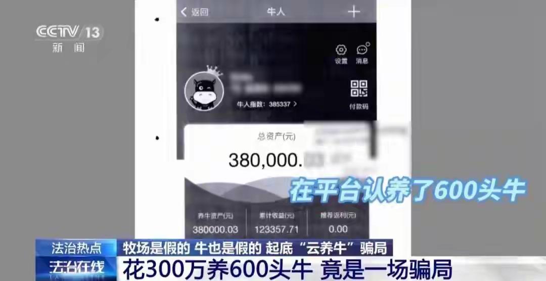 上海，一男子经朋友介绍：花5000块可以线上认养一头澳洲肉牛，全程有人帮忙代养，