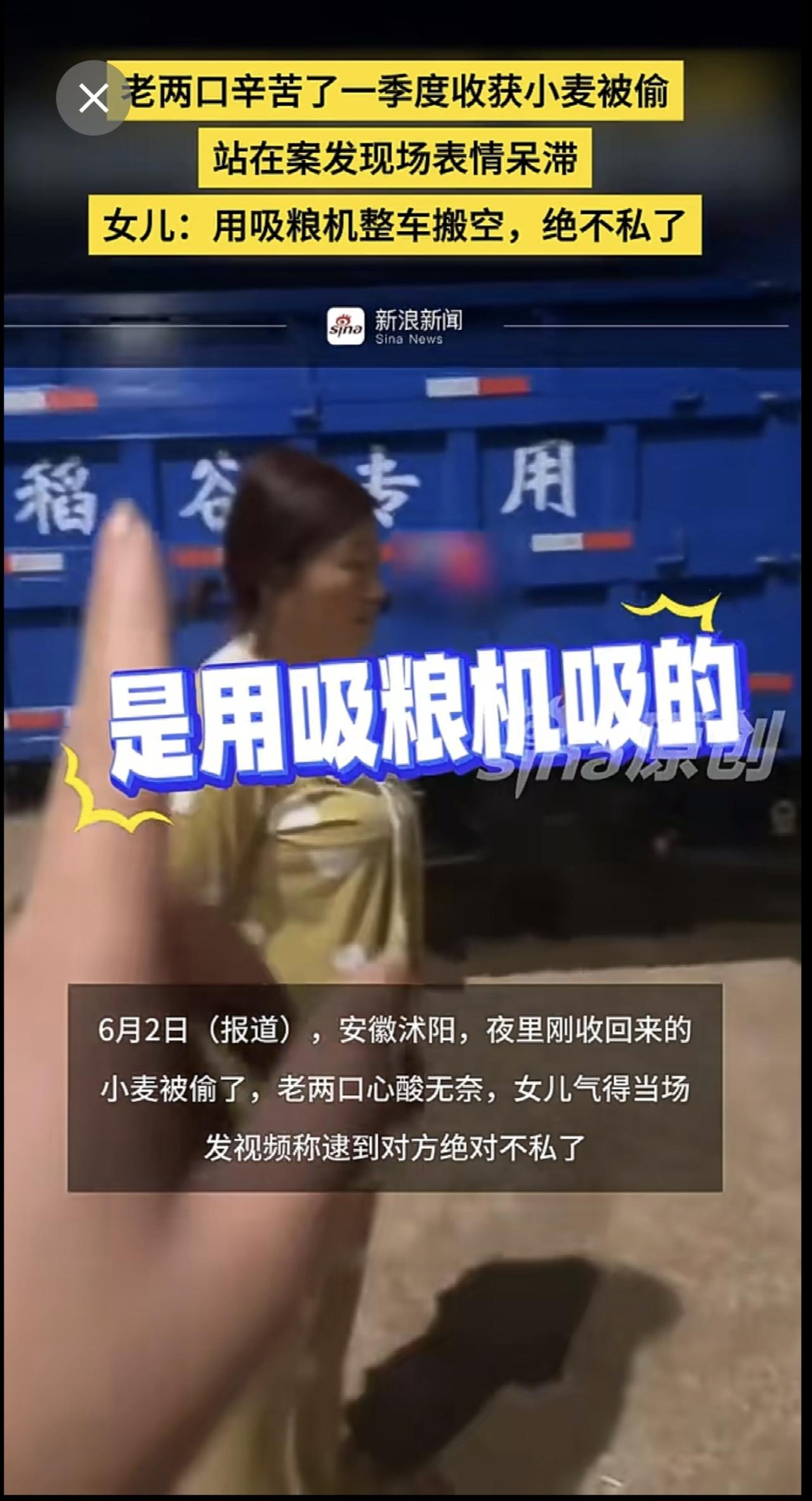 老两口辛苦了一季度收获小麦被偷，站在案发现场表情呆滞，女儿：用吸粮机整车搬空，绝