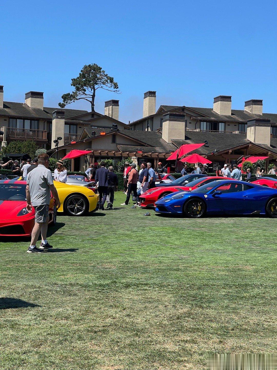 早，翻了翻相册，感觉还能发一个月的实拍和科普，圆石滩的后劲实在太大了[嘻嘻]图中