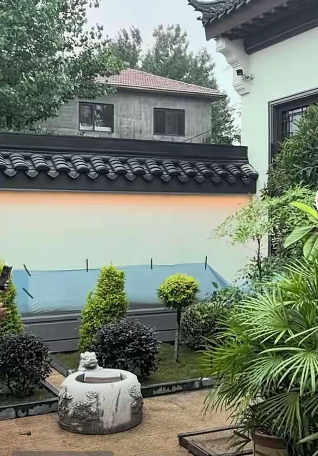 麦小登新家竣工在即，从传出来的视频看，确实漂亮。
但问题也出来了：绿植太密。
这