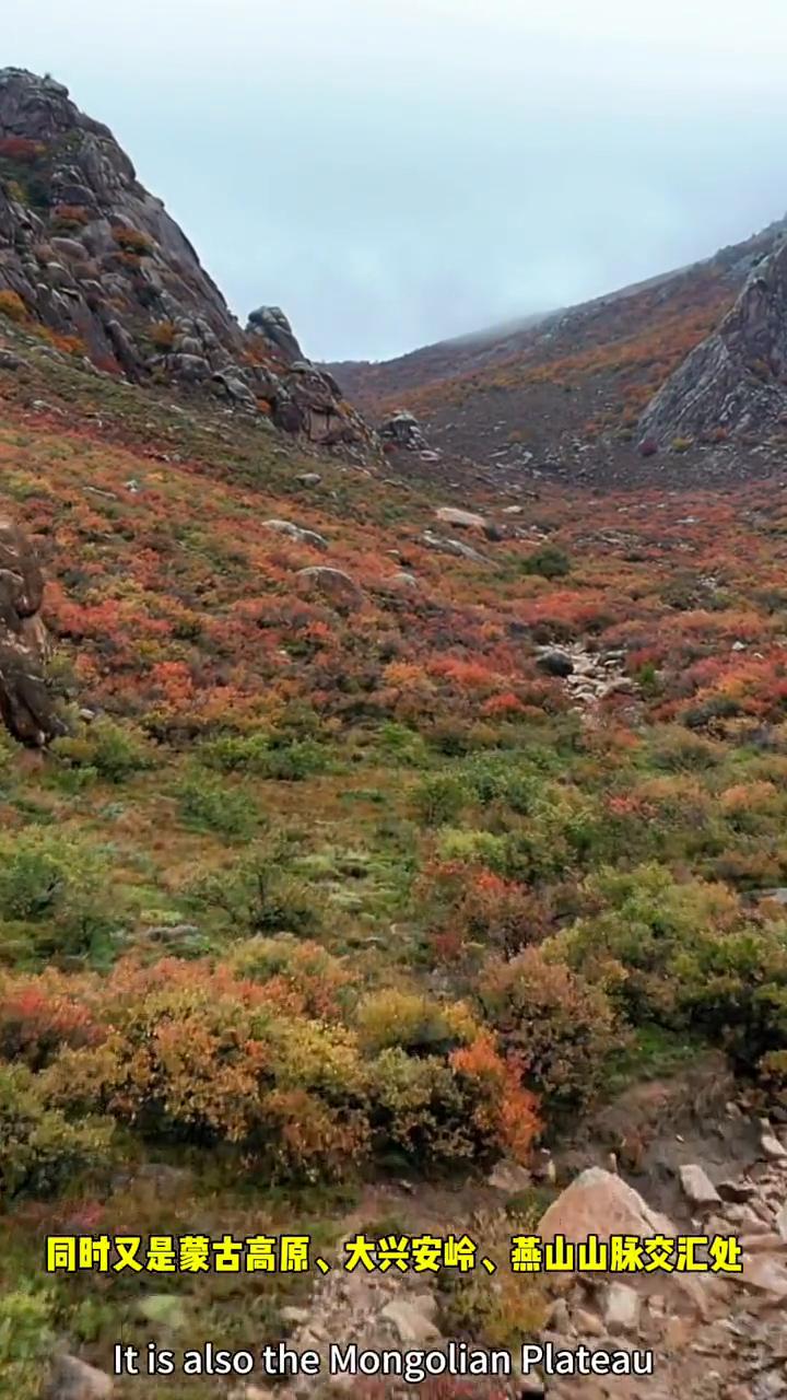 在内蒙古赤峰克什克腾旗有这样一座大青山，它属大兴安岭山系，同时又是蒙古高原、大兴