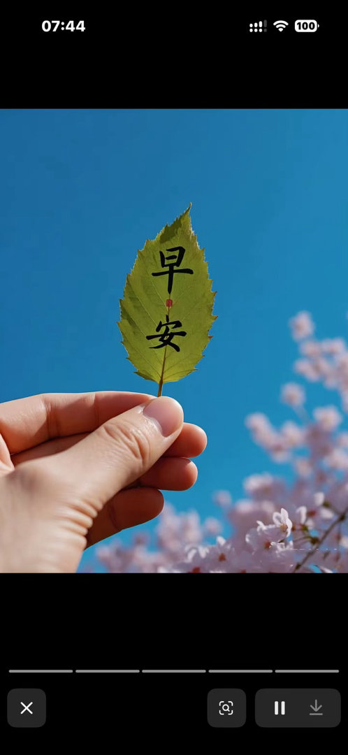 晨起蓄力，全力以赴，不负每一个当下。早安各位！ 
