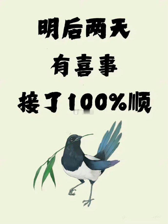 见喜鹊有喜事发生！秒接！​​​