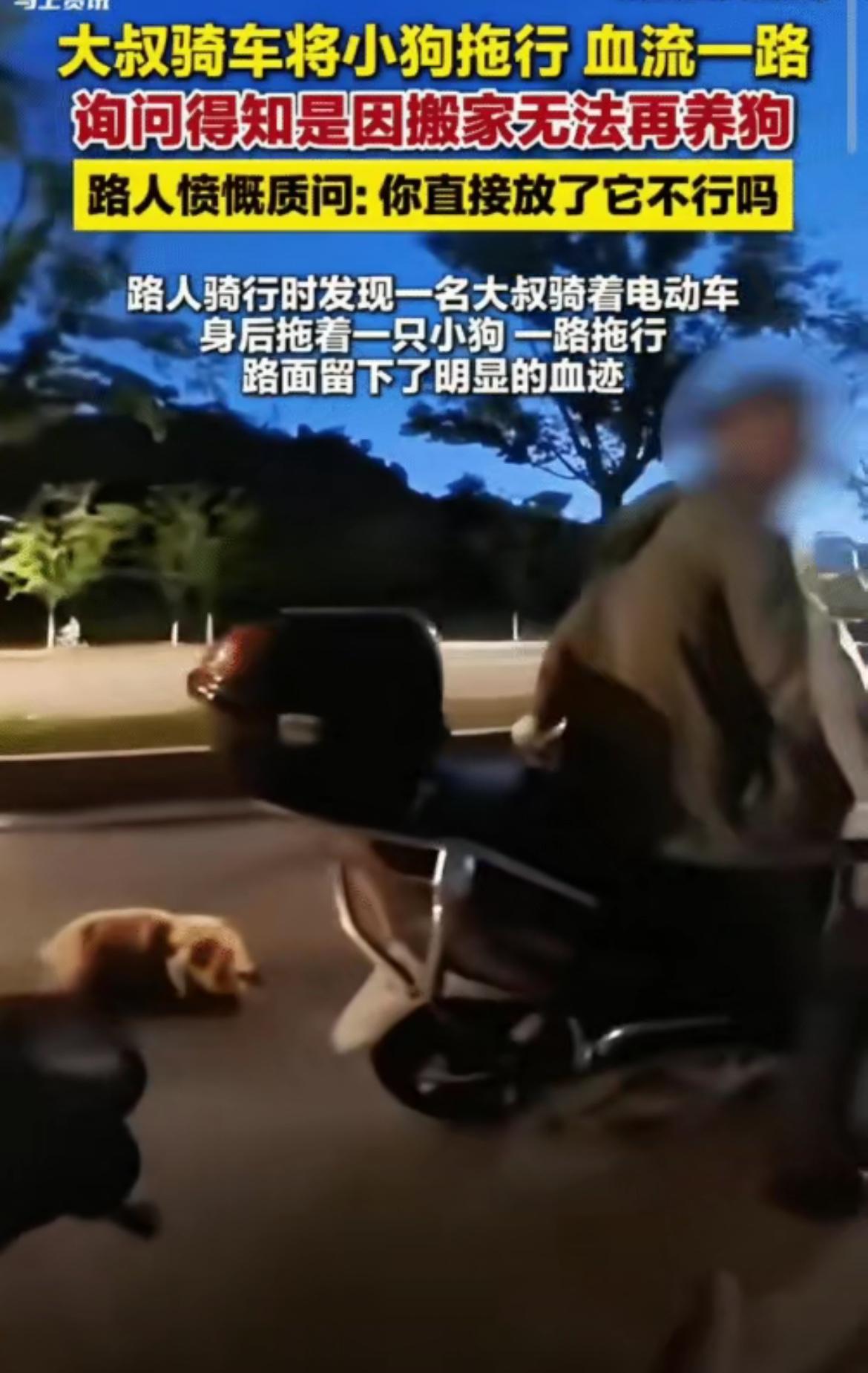 心太狠了！男子晚上骑行，遇到一大叔将小狗拖行，血流一路，男子把大叔截停，询问才得