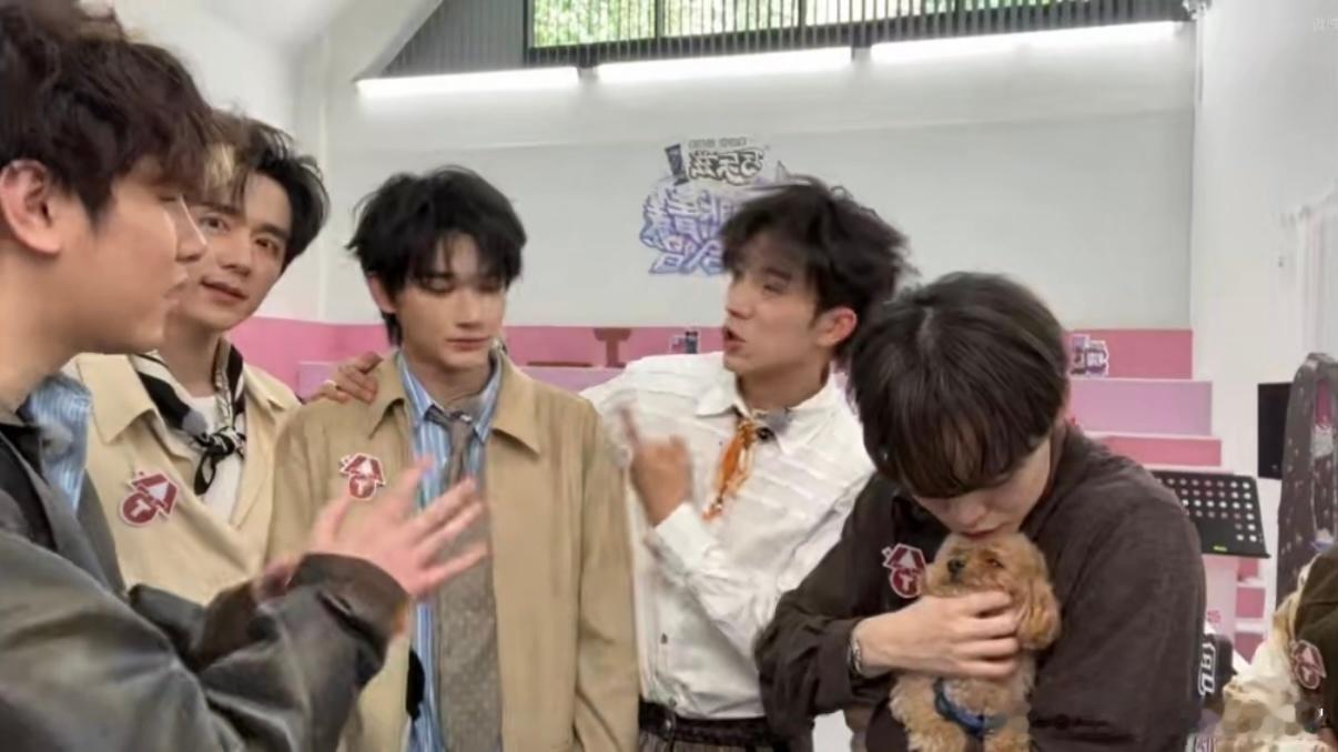 钟辰乐抱希林娜依高的狗少年与萌宠的治愈同框太心动，钟辰乐温柔细心呵护小狗，神态柔