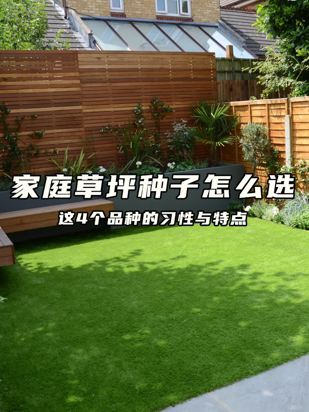 草坪种子怎么选择？这4个品种的习性与特点