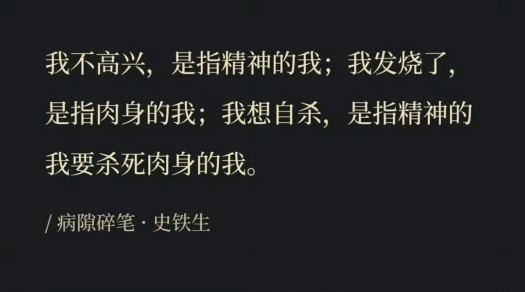 再次被史铁生的文字震撼到： “我不高兴，是指精神的我” 