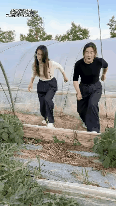 70年代的人可能会偷西瓜，什么年代了，早已没有这样的人了，这就是拍段子而已，就是