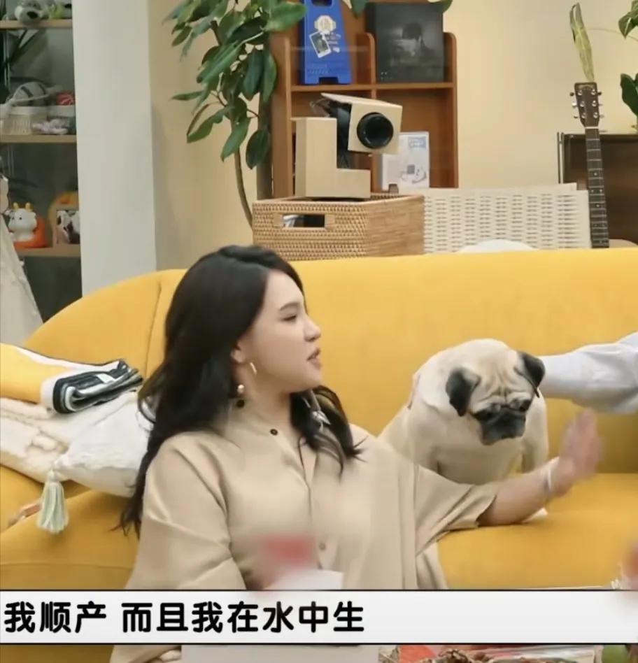 谢依霖分享生产经历，妈妈都好伟大！

谢依霖说：“我顺产而且我在水中生，不能打无
