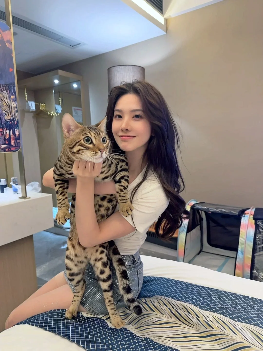 🐆豹猫是因为要人抱着的猫