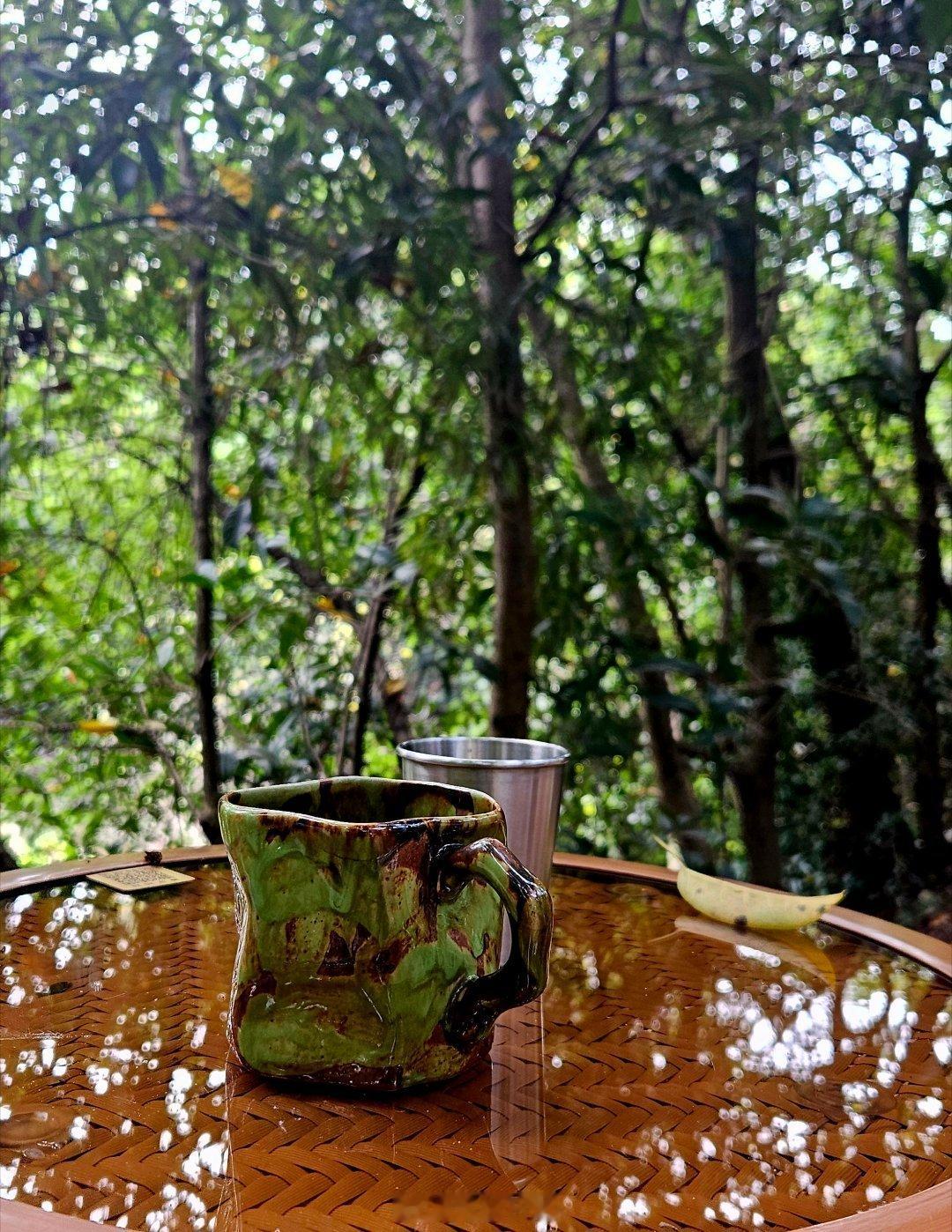林间风起，风过，风起念往昔，风过且自惜。 ​​​