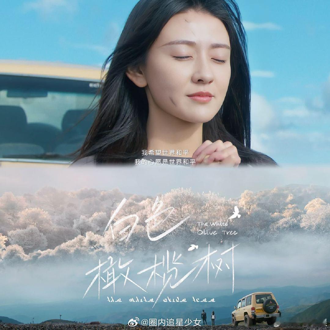 在梁洁这吃到现偶的细糠了   白色橄榄树  看了《白色橄榄树》的预告，我更加确信