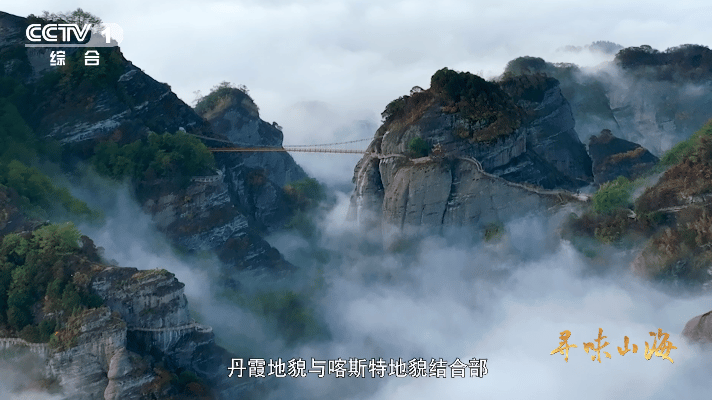 第一次知道老家特产有多牛 连城白鸭不光颜值出众让人一眼记住，还有独特的生长特性，