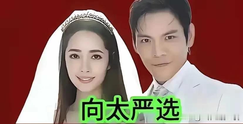 从这几张图片，你能看出来香港豪门娶媳妇的标准吗？向家，霍家，何家和普通人家选儿媳
