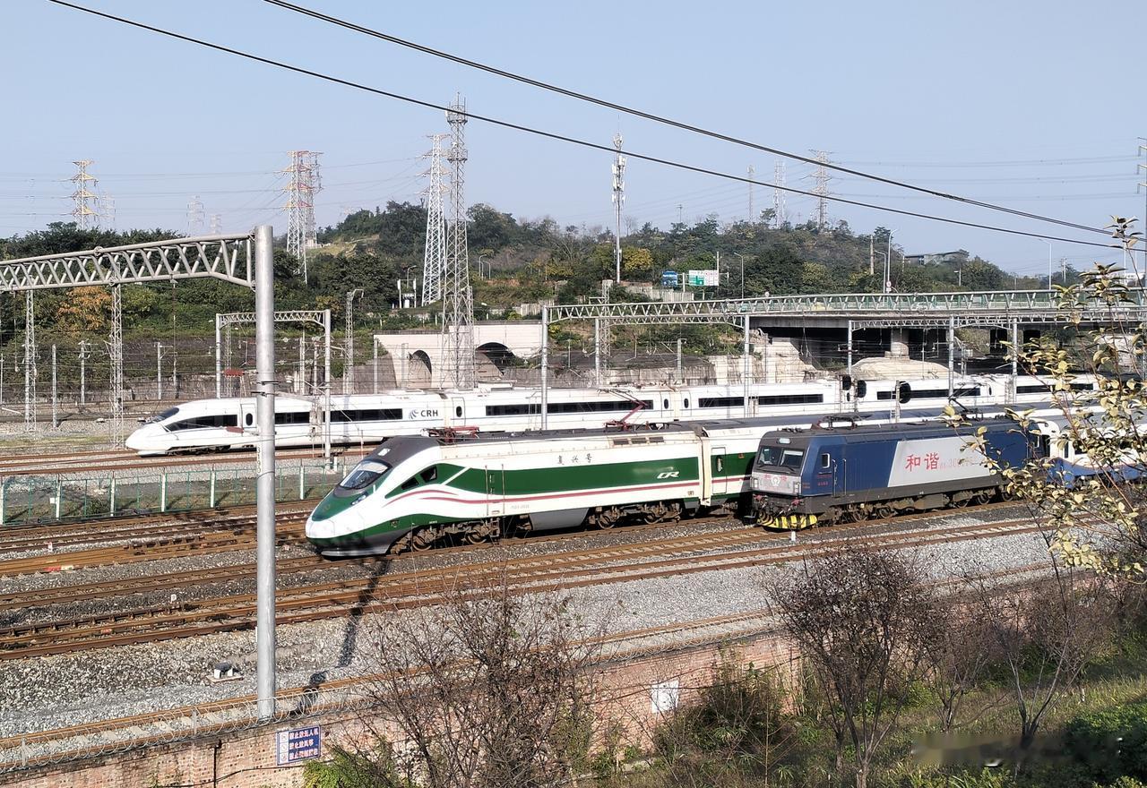 上个月在重庆北站附近拍的，三列车同时往站内在开，最远处的是郑渝高铁过来的动车组，