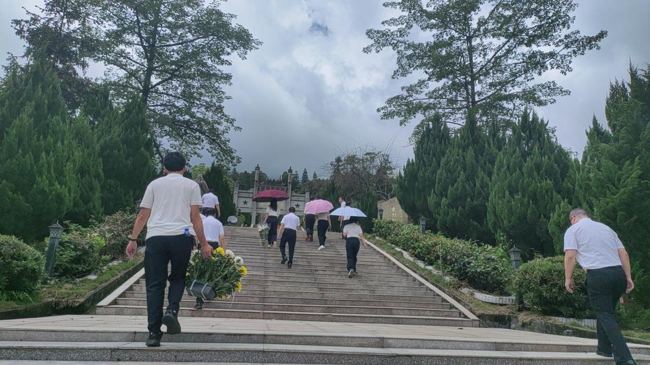 一群人拿着花上山去祭拜。