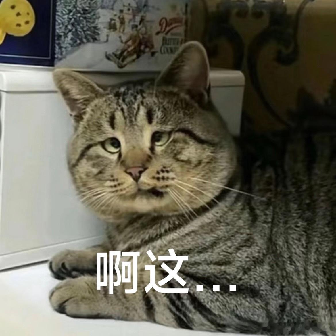 不小心被同事看到了主页。同事：卧槽！姐你1.7W粉。大粉啊？我：不是！我家大粉没