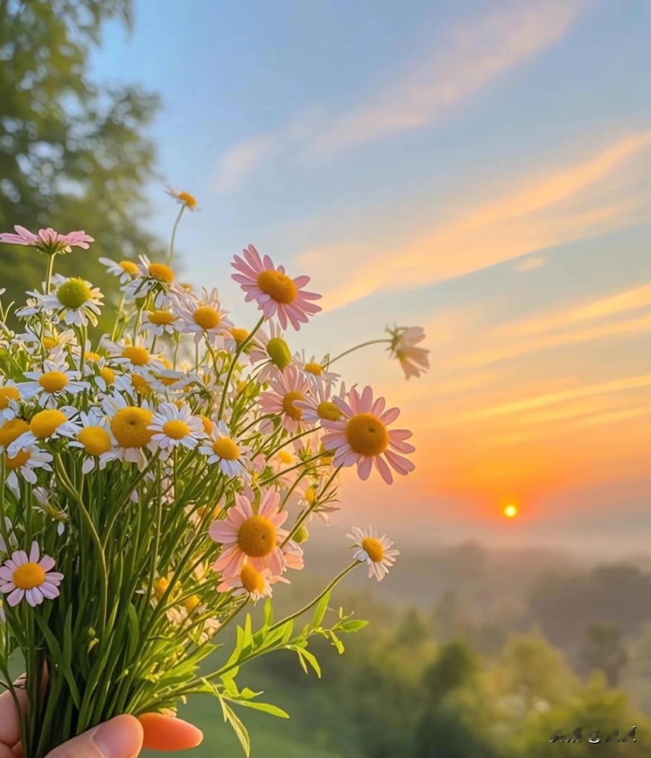 夜色很美，路灯很亮，
每一个城市都不缺晚归的人，
每一个归晚的人，
都有一个共同