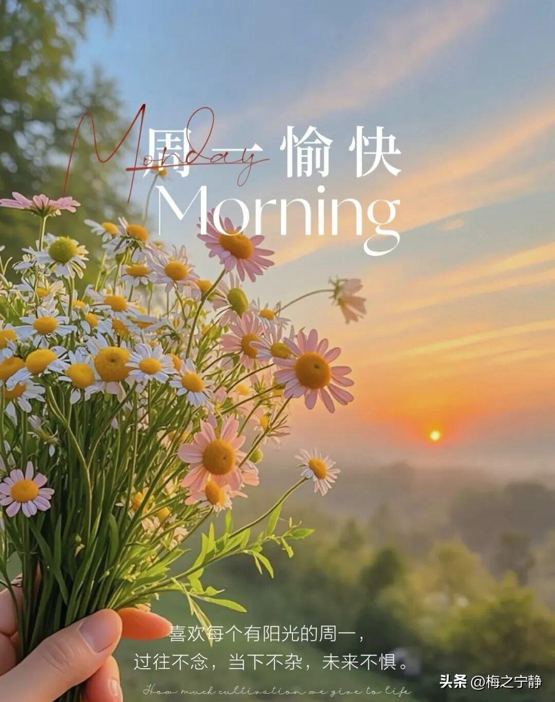 🌼²⁰²⁶/₀₆.₂₉ ᵕ̈ 周一｜愉快💕🍃🍎🐎
新周如约而至，六月悄