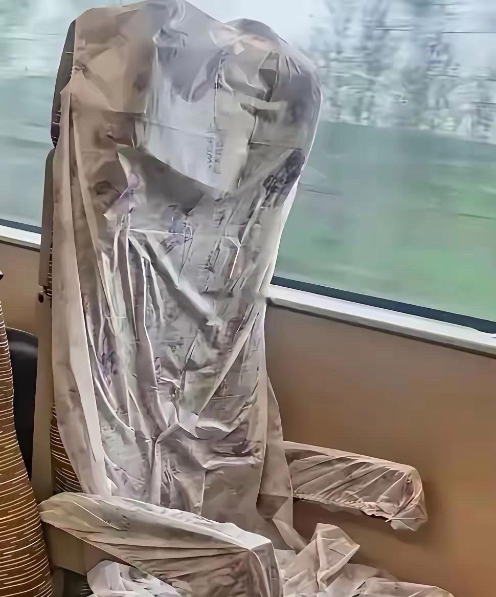 这种洁癖就别坐高铁了吧 