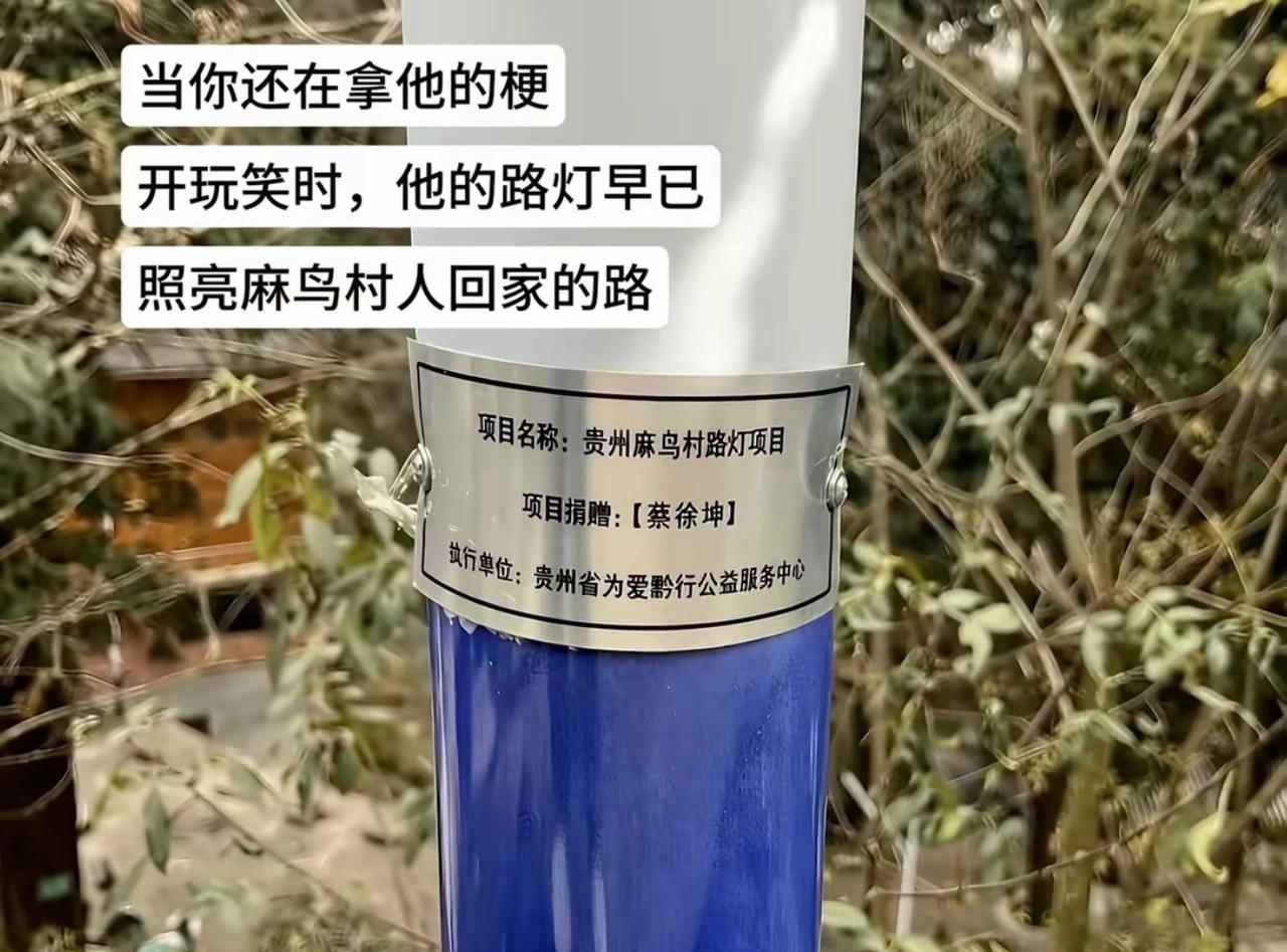 不少人还在反复玩着老梗拿来打趣，蔡徐坤捐的路灯，早就稳稳立在贵州麻乌村的山道上，