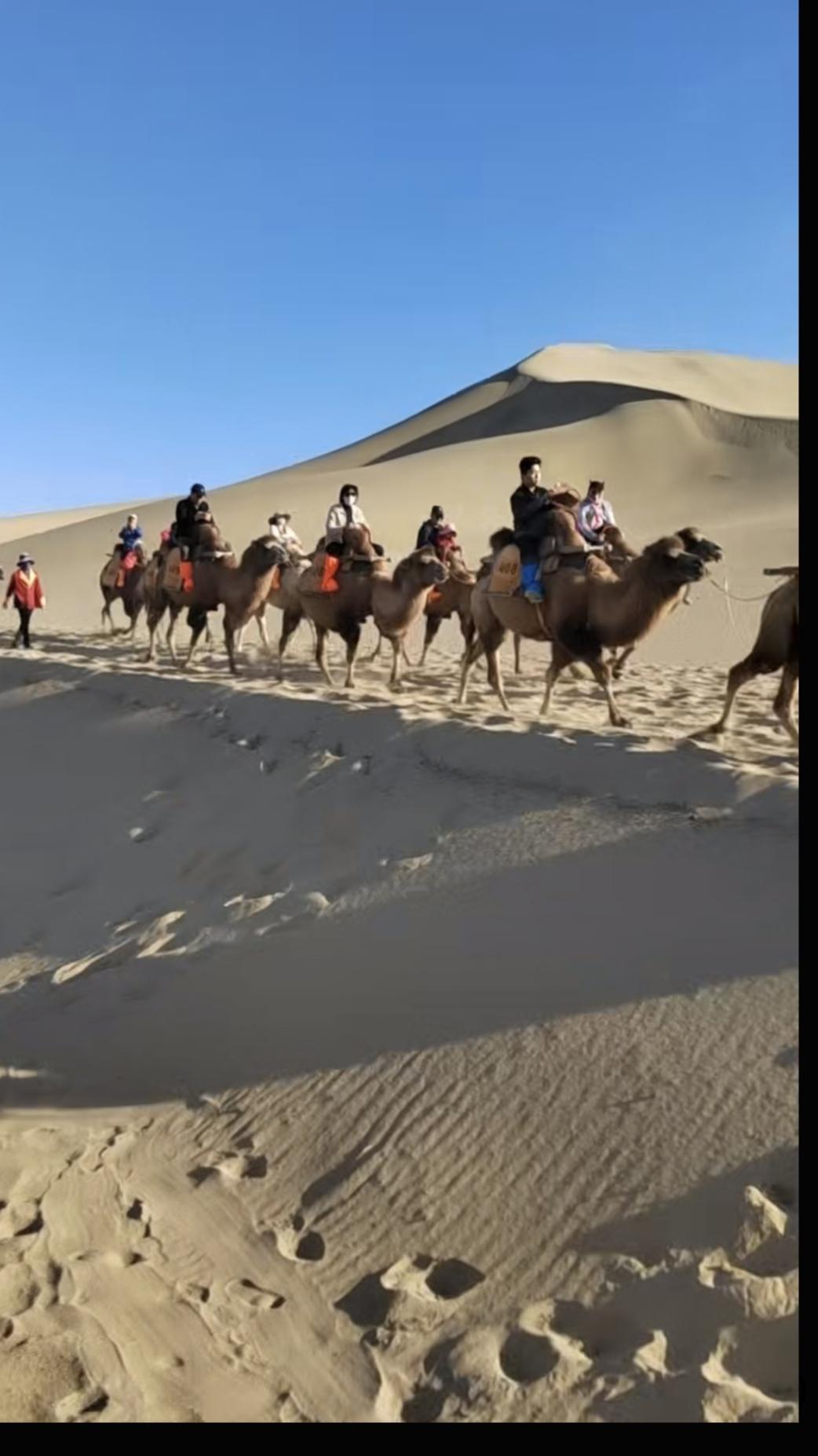 西部旅行，你想玩沙骑骆驼，只去一个地方。

10月8日，我们开启西部之旅，第一站