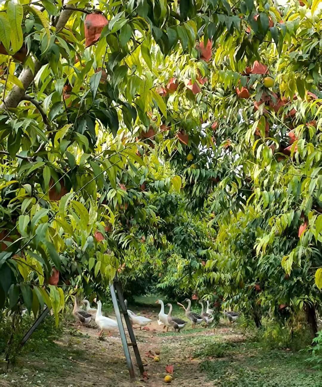 抖音上刷到一位单亲妈妈博主，她发视频说当年那个男的病得快不行了，她把人拖去医院垫