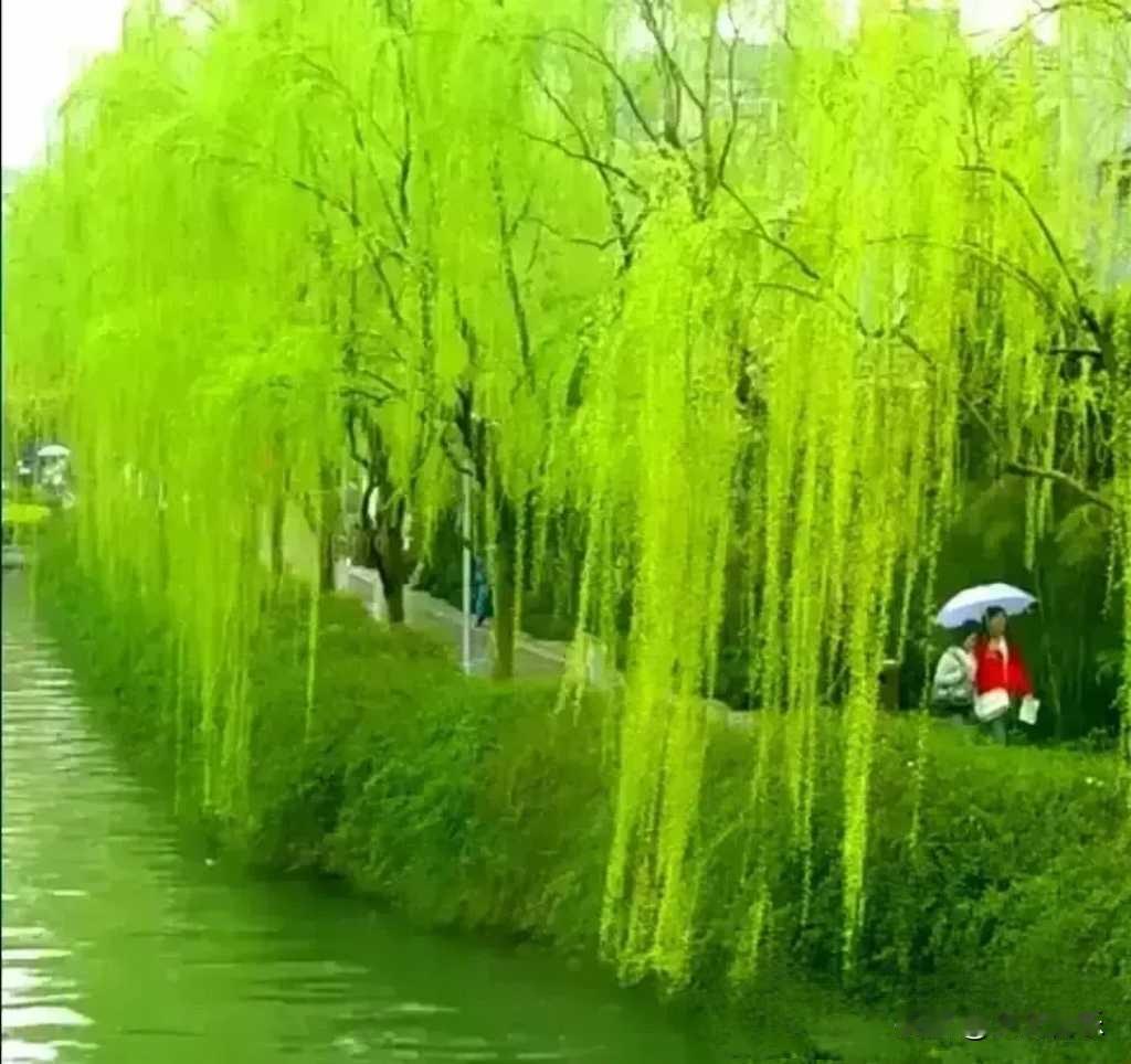 上联：春日春风春柳绿

下联：冬霜冬雪冬梅红

解释：

季节相对：上联以“春”