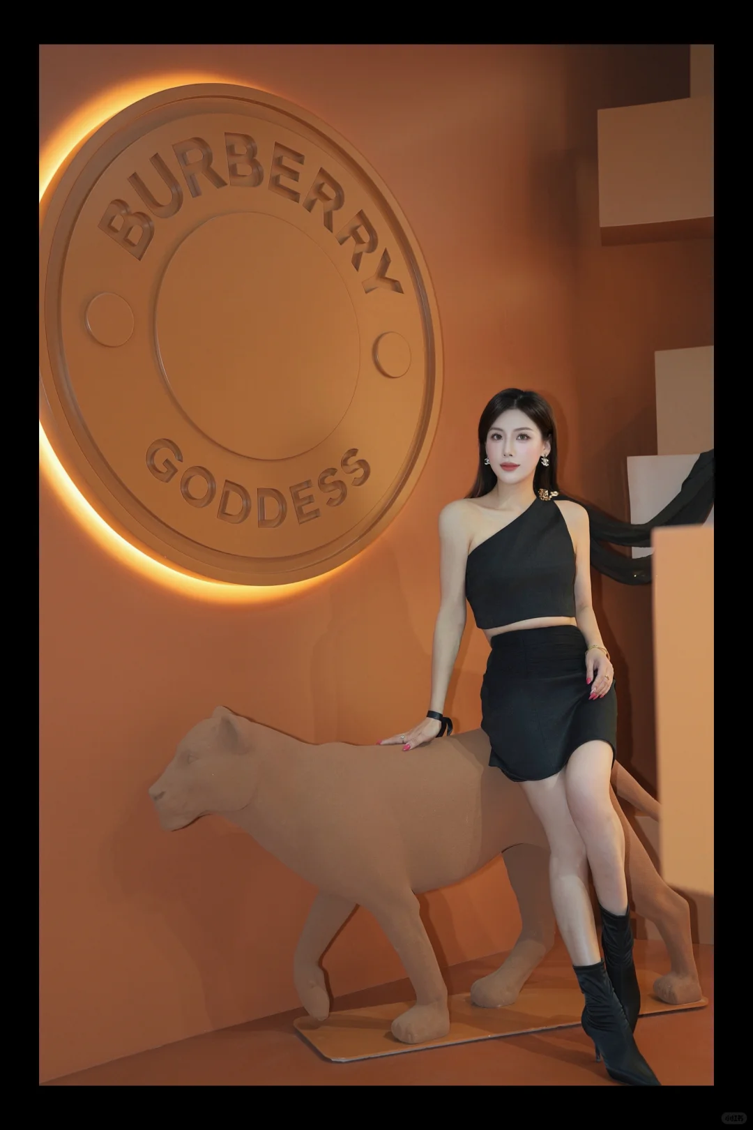 不要追逐任何人 追赶自己就好了