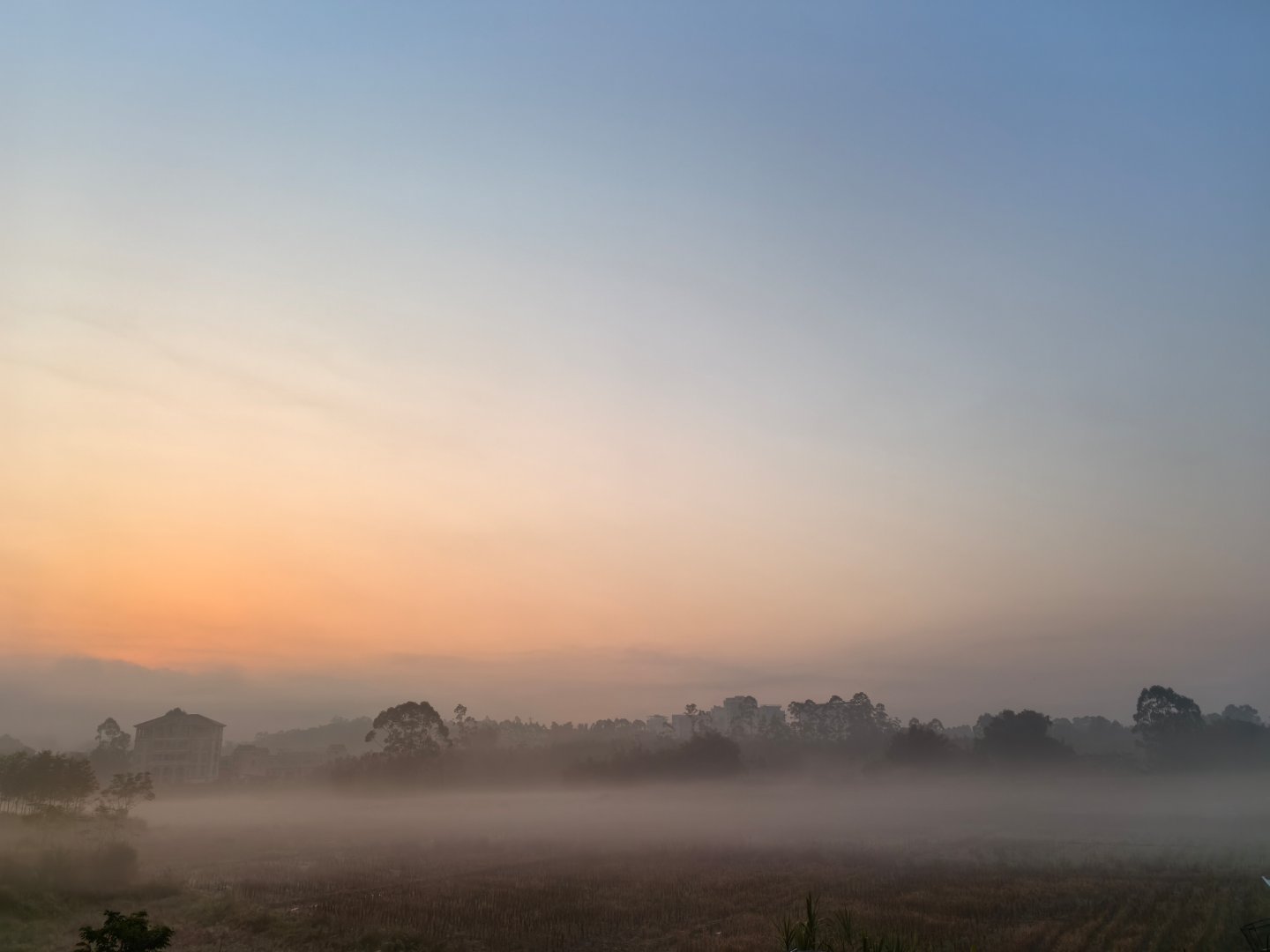 早啊，今天星期四看看雾海