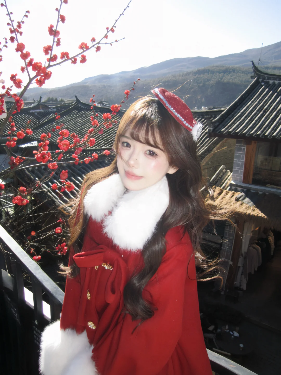 一树梅开 一念春来