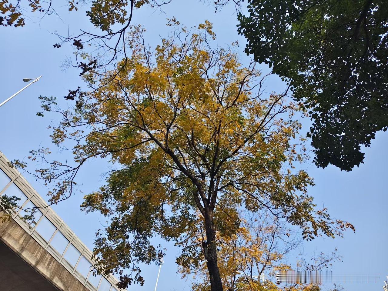 人到中年，肯定要存钱，而且是必须要存钱，人到中年有钱才能稳固家庭，刚好是上有老下