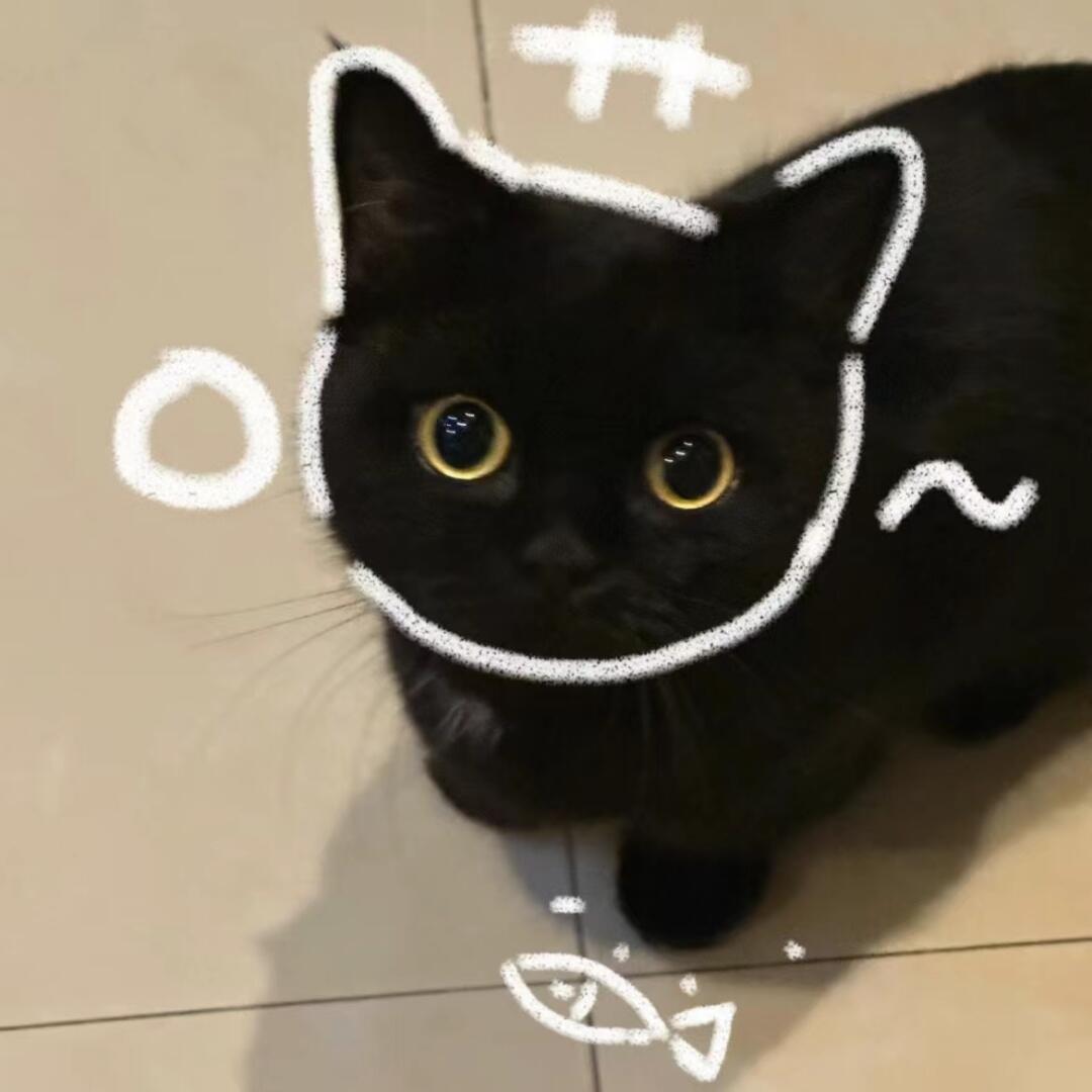 𝗕𝗹𝗮𝗰𝗸 𝗰𝗮𝘁黑猫小头像^ 