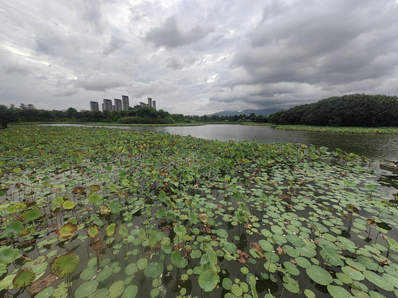上联，淋春夏秋冬雨，请你赐教！揽江河湖海云