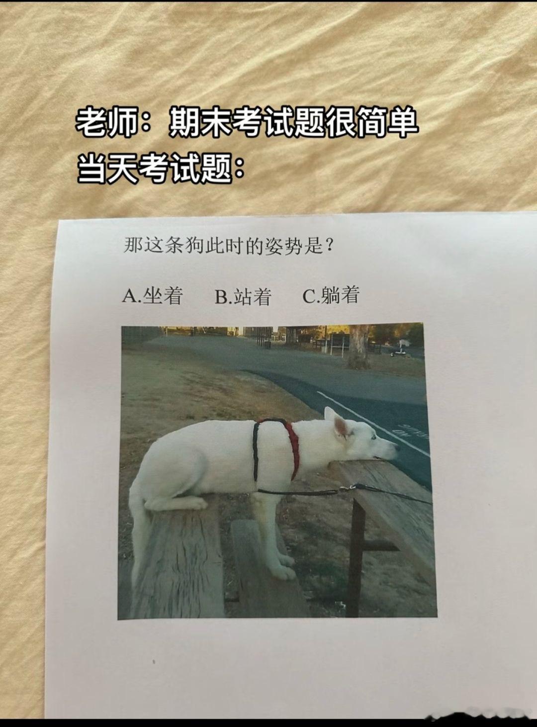 当老师说期末考试很简单......... ​​​