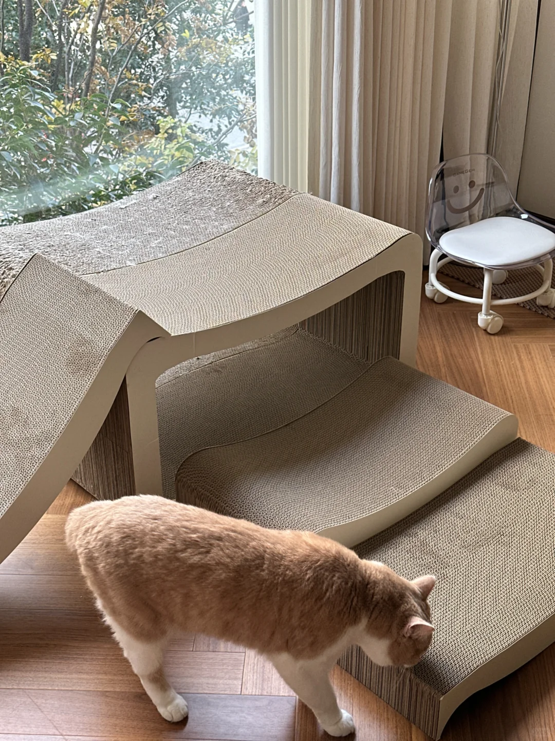 在我家工龄zui长的猫抓板
