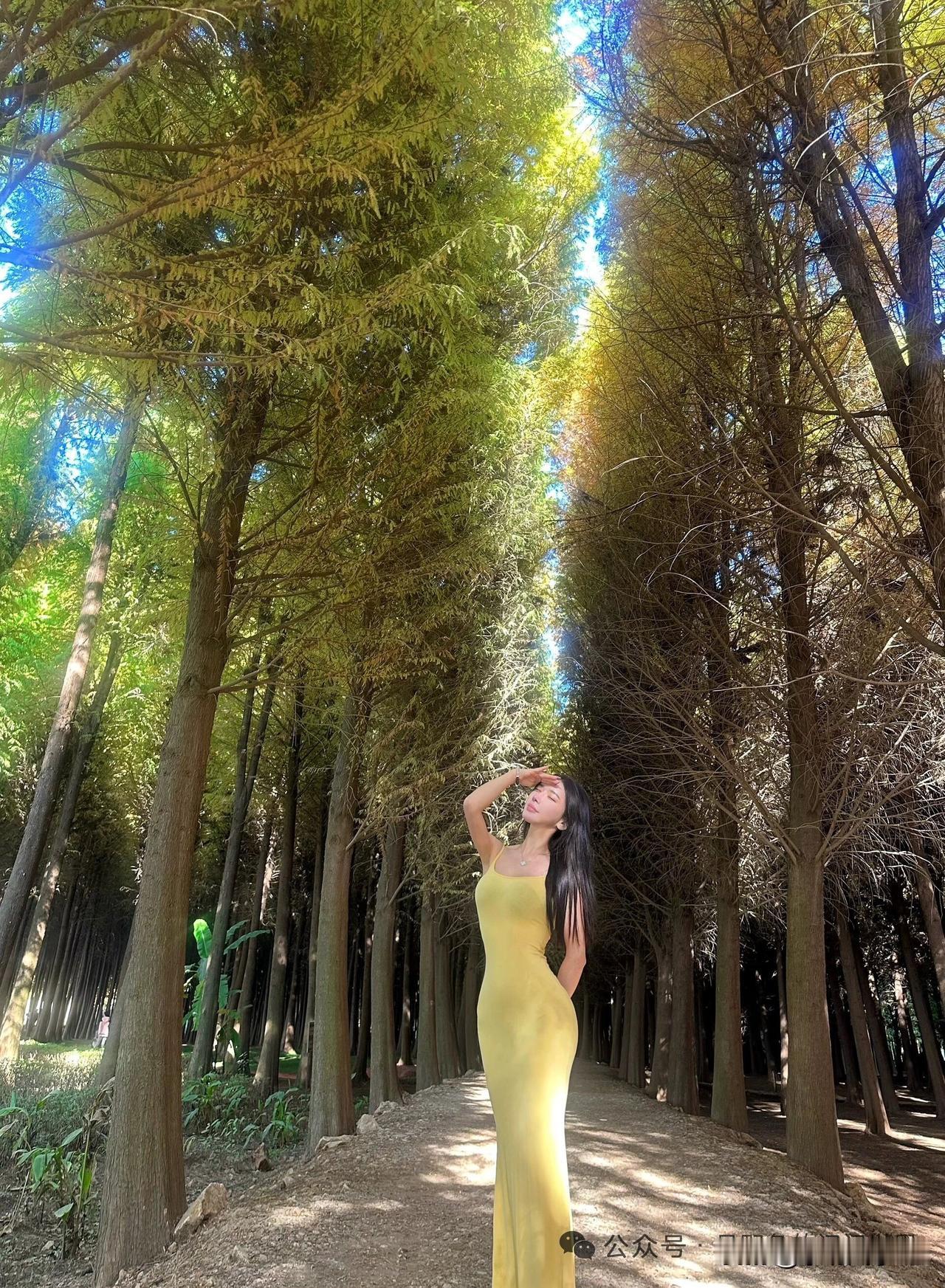 阳光洒在森林小径，穿着黄色长裙的少女在树影间漫步。阳光白裙少女 棕裙少女照 黄昏