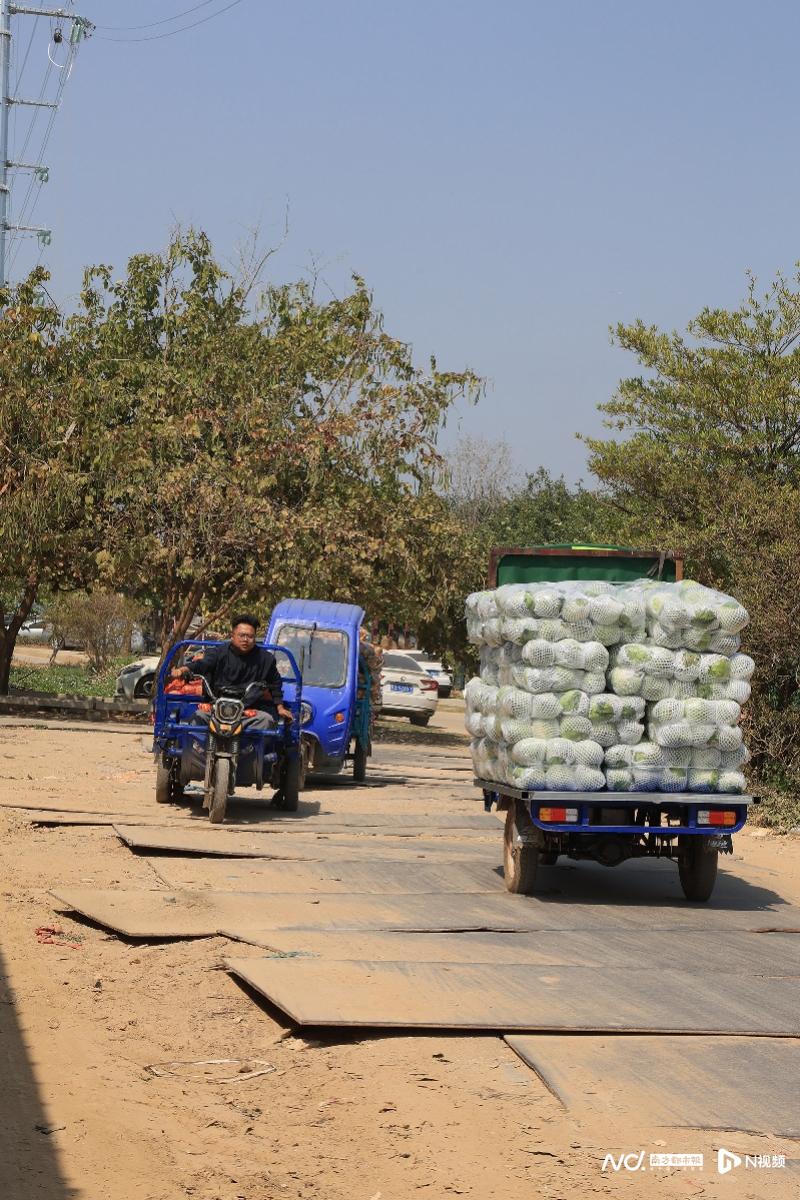 这条“铁皮路”令蔬菜运输者揪心！石碣镇回应：已部分修复