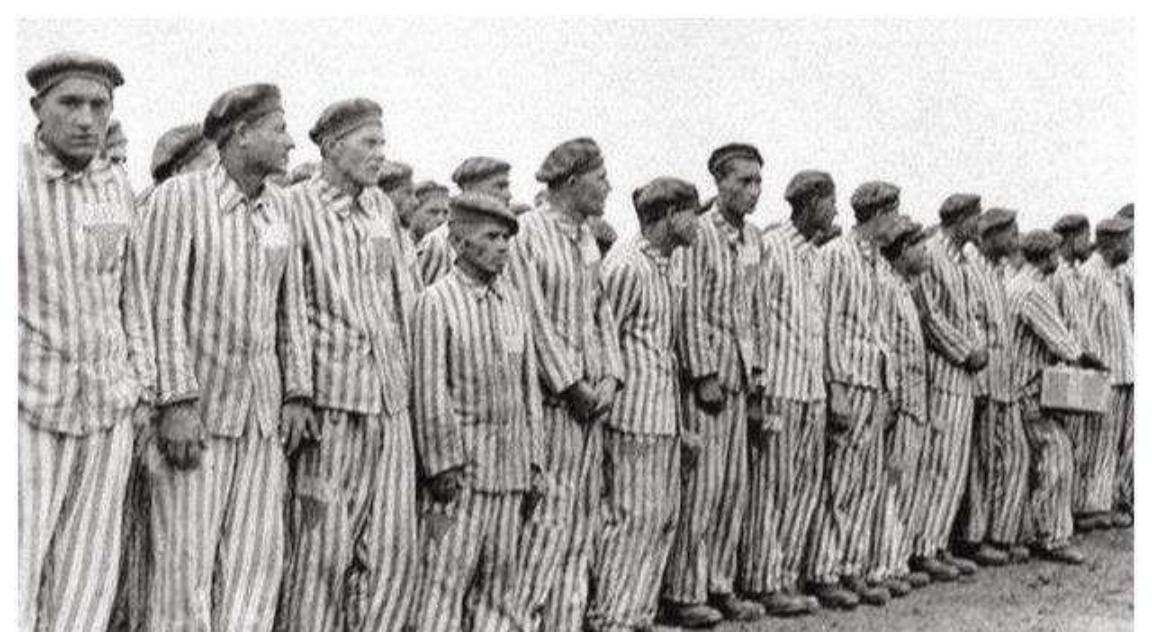 1944年，10岁的双胞胎姐妹被送去了奥斯维辛集中营，每周三次她们会被脱光衣服送