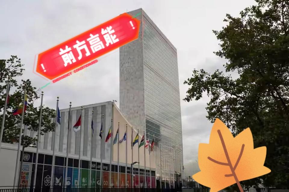 当地时间1月5日，联合国安理会就委内瑞拉局势举行紧急会议。联合国副秘书长迪卡洛在