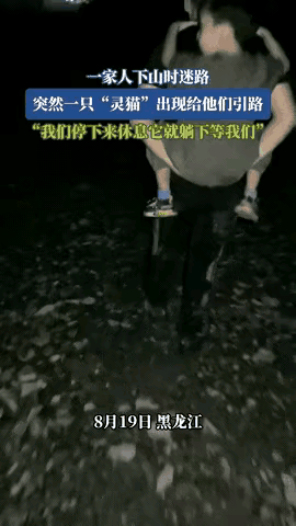 “科学解释icon不了！”黑龙江icon，一家子心血来潮去爬山，结果迷了路，天黑