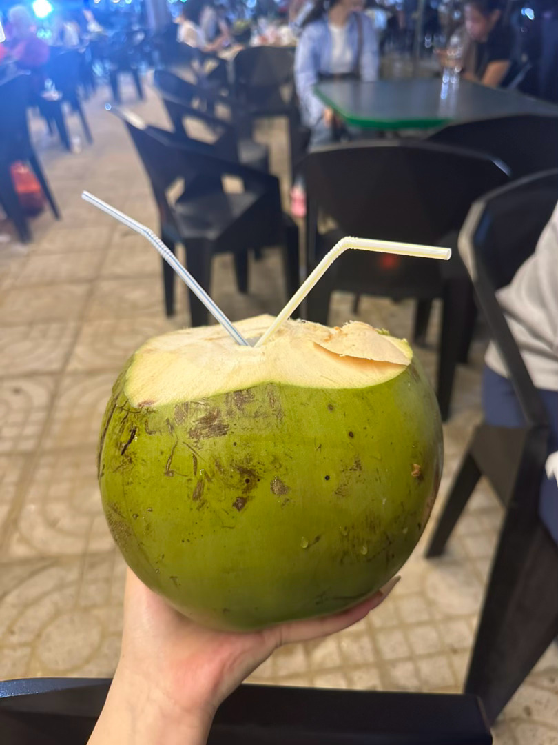 放我回海南行不行 