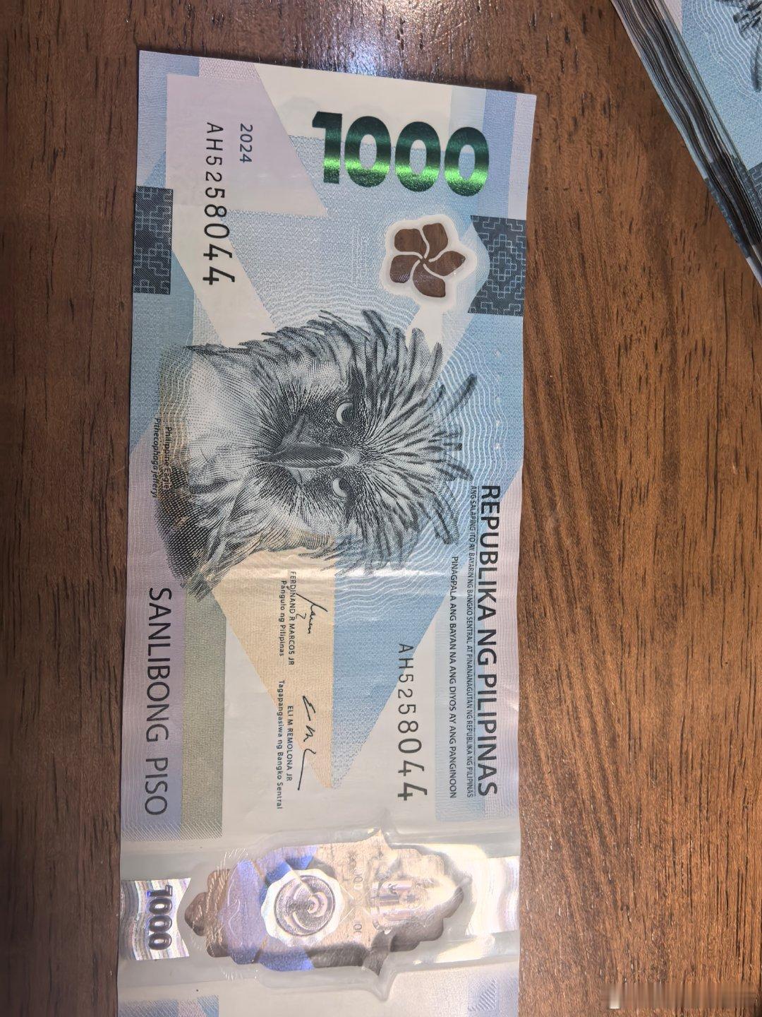 初到马尼拉，朋友热情款待，还丢20零花钱这几年在菲律宾项目做得可以啊 菲律宾·e